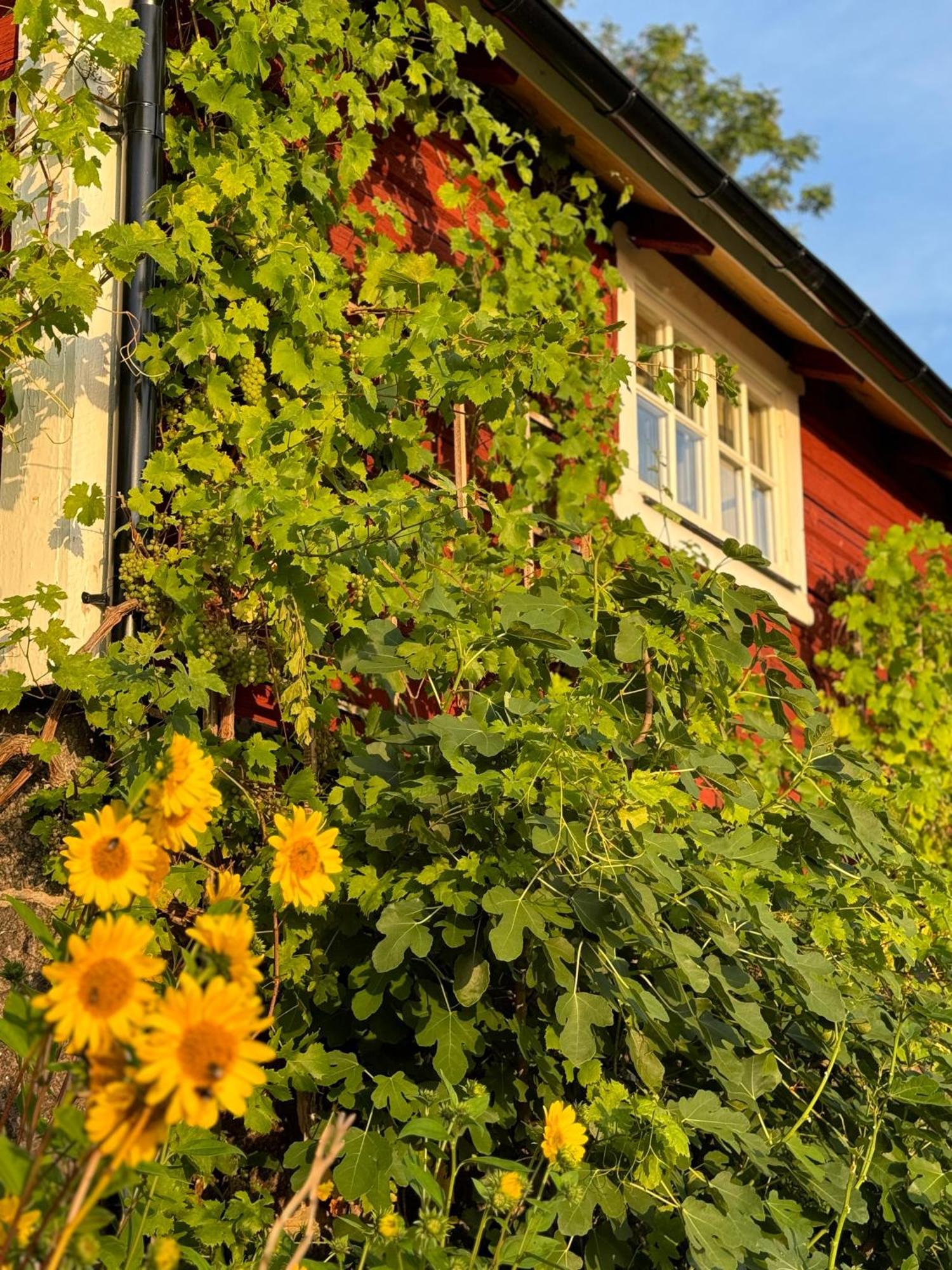 Brunstorpsgard Braenneriet Villa Huskvarna Eksteriør billede